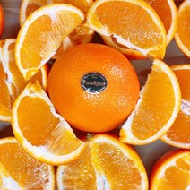 퓨어스펙 고당도 오렌지 블랙라벨 10kg, 01_중 10kg(51과내외)