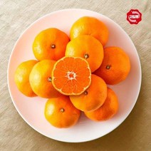 과일통 새벽싱싱 제주효돈감귤 5kg3740입내2L, 없음