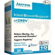 자로우 유산균 Ideal Bowel Support LP299v 100억 30캡슐 2팩