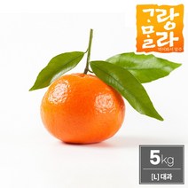 (주)트리 인천가정지사 초록자연 하우스 감귤 5kg(2L) 제주 밀감 (9017709), 기본