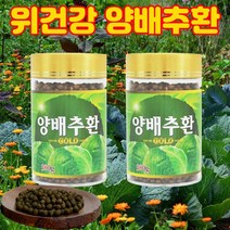 우리가족 국산 양배추의 영양 그대로 양배추환 300g, 2개