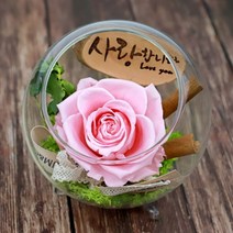 [바보사랑] 시들지않는 꽃 한송이 장미 유리병 프리저브드, 색상선택:한송이장미유리볼(핑크) / 픽선택:건강하세요
