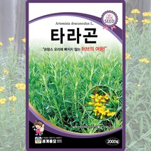 타라곤 씨앗 타라곤 허브 씨 종자 2000립, 1개