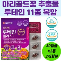 황반색소밀도유지 눈노화 눈건강영양제 루테인 엽산 망간 아연 복합 건강 기능 비타민 A B2 B6 B12 셀레늄 나이아신 구리 2개월분 피로 흐릿 희미 침침 개선 유지