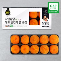 자연밭담 청도 반건시 10구 특상품 GAP인증 고당도 명품 실속 가정용 선물용, 5개