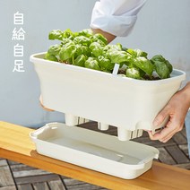 자급자족라이프 자동급수 화분 세트 (배양토+씨앗) 저면관수/베란다 텃밭 화분/상추 바질 루꼴라 방울토마도 중 2택, 상추, 아이보리