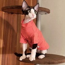 고양이 실내복 조끼 나시 순면 옷 신발 올인원 할로윈 stock 깨끗한 스핑크스 얇은, xxxl, 빨간색