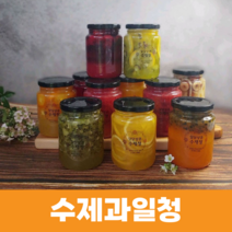 과일 수제청 딸기청 자몽청 레몬청 키위청 패션후르츠청 500g 선물세트, 자몽청500g