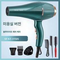 전기 드라이기 가정용 대풍 음이온 헤어 케어 무음 미용실 전용 고출력 속건 남성 드라이기, 녹색머리살롱블루라이트음이온헤어케어-여섯