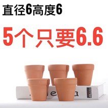 해외 미니 복숭아와 계란 모양의 고기 조절 다육 화분 특수 작은 냄비 다육 화분 도자기-135642, 04. 6 × 6 특별 가격 5 팩