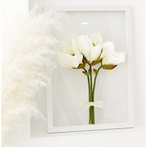 아조아트 마그놀리아 투명식물액자 입체 꽃 집들이선물 거실인테리어