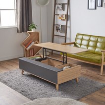 예작 편리한 2단 높이조절 1100 거실 소파 노트북 응접실 테이블 RE45, 그레이