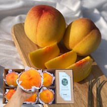 영주 황도 복숭아 선물세트 1.8kg ~ 3kg 양홍장 복숭아 영주 복숭아 쫀득복숭아 꿀복숭아 물복 숭아 망고복숭아 남자친구 부모님 추석선물 세트 추석 과일선물 세트 선물용과일, 중과, 3kg 12과 내외