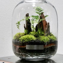 페어리풀 이끼테라리움 만들기 세트 테라리움 DIY, 1개