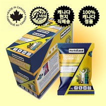 Herbaland ELECTROLYTE FITNESS GUMMIES 허벌랜드 전해질 피트니스 구미 젤리 50g x 12파우치 캐나다 정품 단백질 헬스 보충제 프로틴, 2개