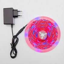 식물등 식물조명 생장 성장 재배 전구 led 식물 스트립 조명 전체 스펙트럼 꽃 식물 램프 온실 수경 빛 + 전원 어댑터에, 스위치 없음, 20m 풀세트, 비 방수