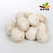 국산 못난이 양송이 버섯 1kg 파지 충남 부여 산지직송 당일수확