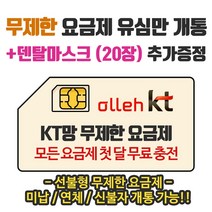 은우텔레콤 KT무제한요금제 선불유심개통, 1개, 데이터10G