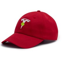 테슬라 Tesla 로고 캡 자수 드라이버 야구 모자 스냅백 볼캡 팬덤