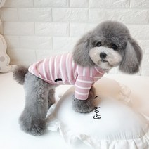 투미 강아지 옷 모음 데일리룩 티셔츠 맨투맨 스트라이프 기본티 실내복 애견 반려견옷 생일선물, 핑크