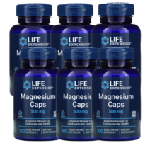마그네슘 시트레이트 500mg100 베지 6병 LifeExtention Magnesium