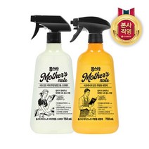 LG 생활건강 홈스타 마더스노트 세정제 주방용 750ml + 식탁주방용, 단품없음