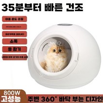 펫 스타일러 고양이 건조기 케어 강아지 털 말리기 개털 드라이어 드라이룸, 화이트