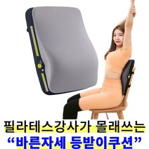 코지포인트 바른자세 높이조절 의자등받이쿠션 허리디스크 사무용 차량용, 멧블랙