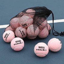 테니스연습볼 싸게파는 제품 리스트
