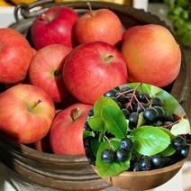 100%국내산 사과+아로니아즙 100ml 30포, 사과 아로니아즙 100ml×30포