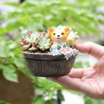 ROOGO 루고 화분 전원이야기 강아지