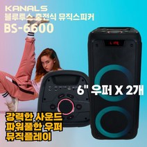 카날스 BS-6600 300W 버스킹 버스킹 파티 충전식 블루투스 LED 스피커