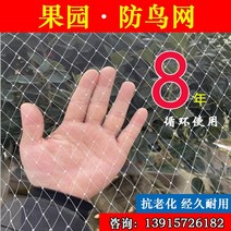1+1 방조망 한냉사 한랭사 블루베리망 참새망 오이 호박 조류 농작물보호 넝쿨 농사용그물 나일론 온실 과수원 과수 체리 포도 벼어 연못 사육 스카이넷 발코니, 폭 35미터 나일론2.0메쉬  미터당 가격