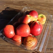 강원도 미니사과 루비에스 2kg 보석사과 꼬마사과