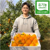 못난이 유기농 한라봉 10KG 5KG 노지 3KG 무농약 친환경 선물세트, 3KG (9-12과)