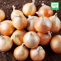 미미의 밥상 [산지직송] GAP인증 22년산 전남무안 조생양파 5kg (특대)