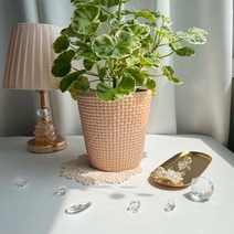 ENVIE CASA 삼각바구니토분, 피치 16 cm, 1개