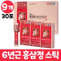 홍삼정 6년근 홍삼스틱 홍삼포 데일리타임 고려홍삼 고려 홍삼 정 선물용 쇼핑백포함 어르신 남자 여자, 9개, 30포