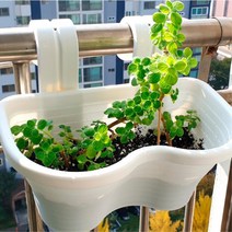아파트 원예 텃밭가꾸기 테라스화분 상추키우기 집에서 소품, 01 피움 테라스화분 (소 샌드베이지)
