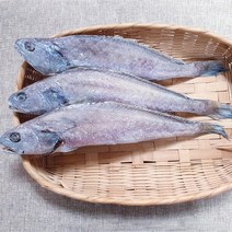 남해안 삼천포 반건조생선 제수용 민어 30cm이상 3미, 1개