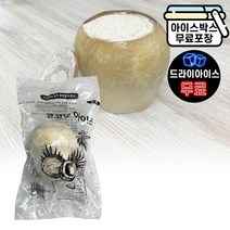 코코넛 아이스 170ml 코코넛 샤베트 코코넛 아이스크림 드라이아이스 무료, 코코넛 아이스 (드라이)