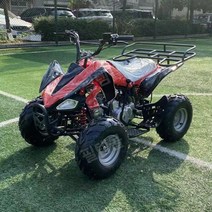 4발 4륜 사륜 오토바이 농업용 사발이 네발 바이크 cc, 리틀마스125cc