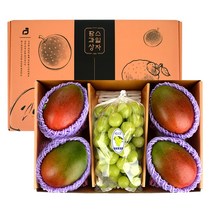 10+1 당일발송 프리미엄 과일선물세트 애플망고+샤인머스켓 선물세트