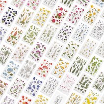 꾸미기용 누름꽃 압화스티커 40종 캘리그라피 책갈피 북마크 만들기 재료, 카렌듈라