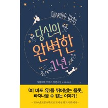 당신의 완벽한 1년:샤를로테 루카스 장편소설, 북펌