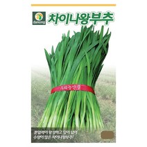 차이나왕부추씨앗 20g 분얼력왕성 잎이넓은 부추씨앗, 1개