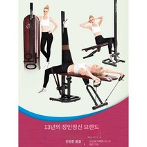 허리운동기구 홈트 홈 복근 전신 운동기구, 마사지 버전