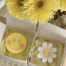 데이지 스마일 차량용 석고방향제, 아쿠아키스, 스마일데이지, 1개