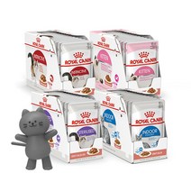 로얄캐닌 캣 파우치 85gx12개 4종, 02.키튼 85gx12개, 12개