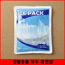 아이스팩 중 5개 빙수포장 여름택배포장 아이스젤팩 쿨팩 캠핑용